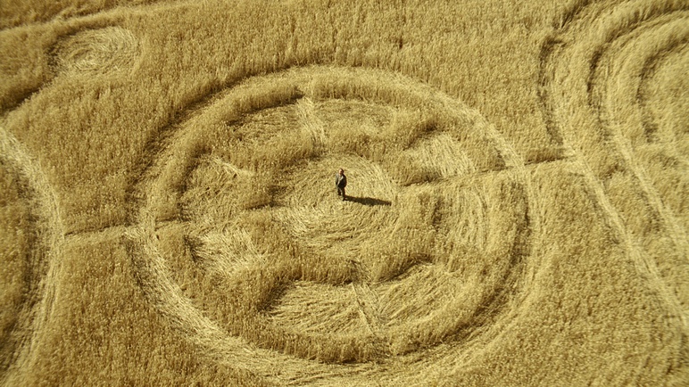 specsavers-crop-circles-3 - 